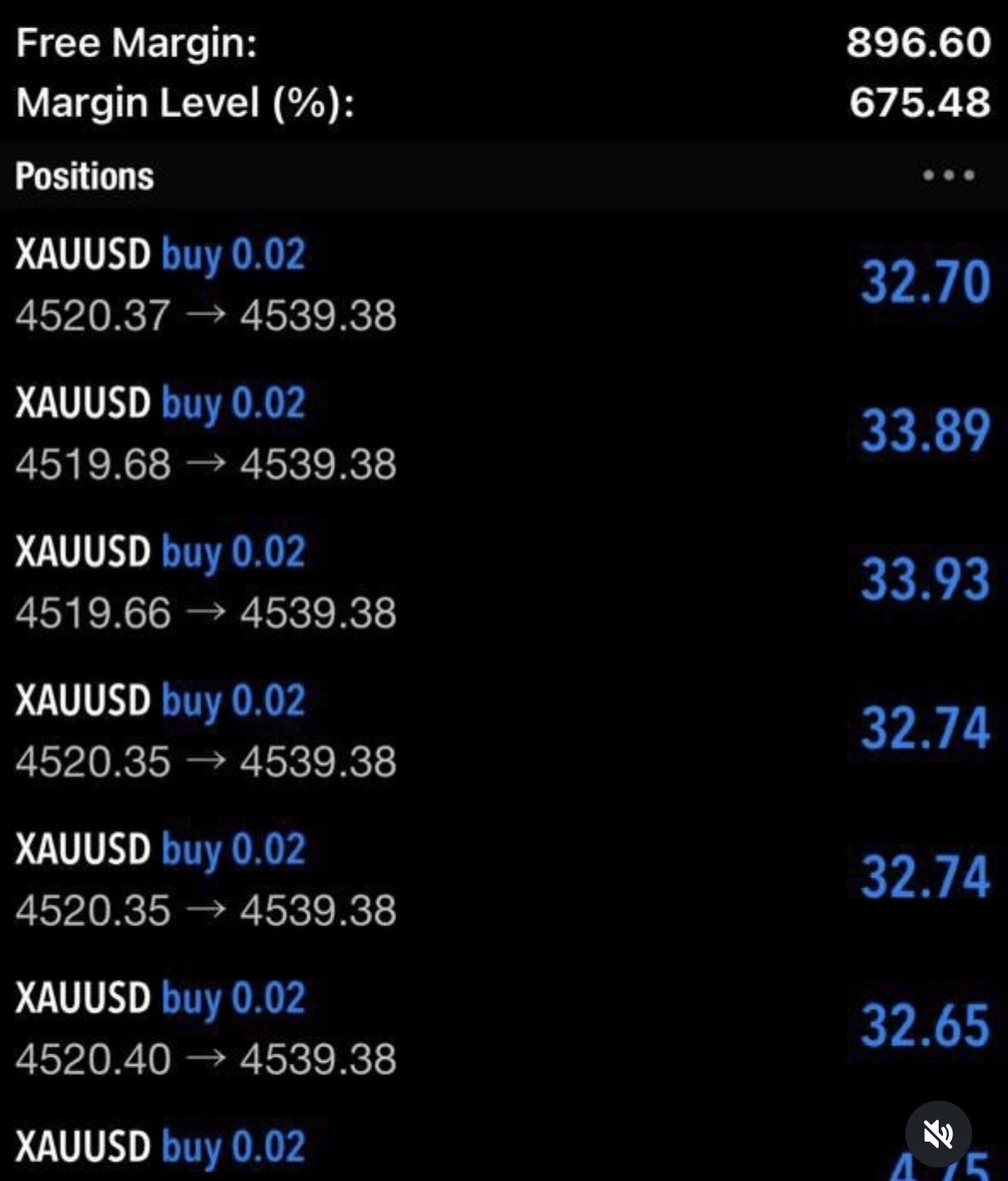 Trader profit screenshot