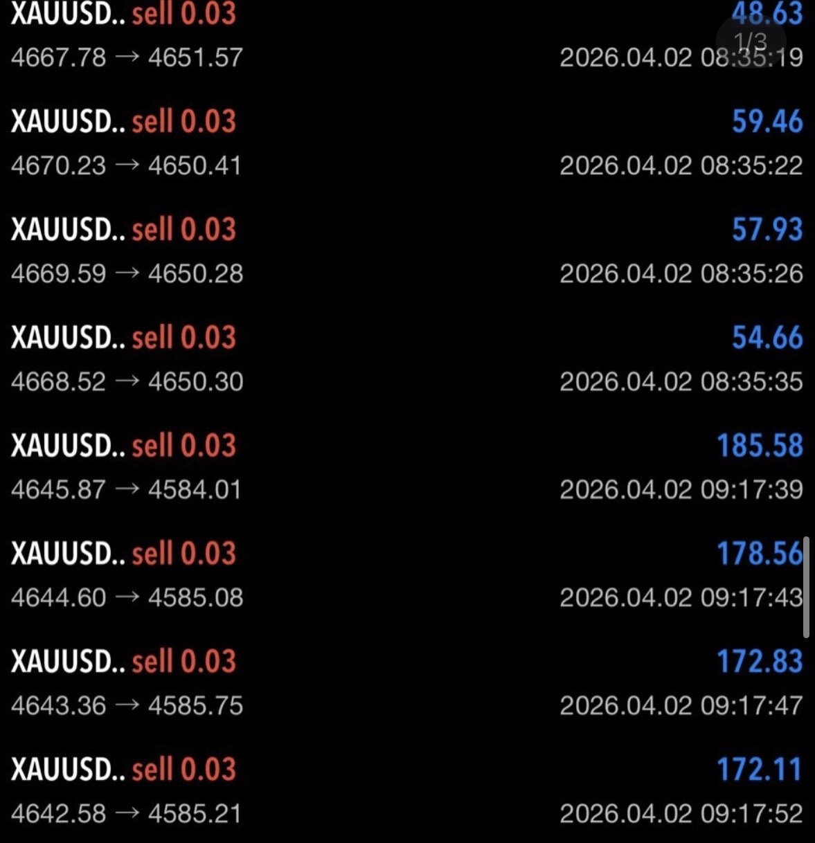 Trader profit screenshot