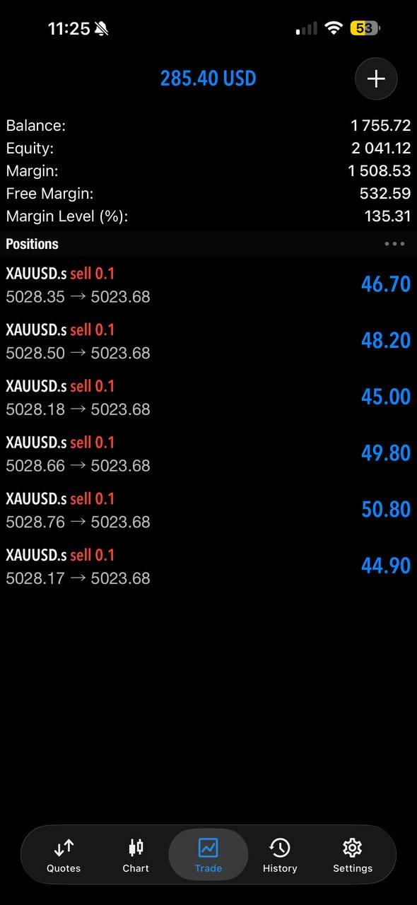 Trader profit screenshot