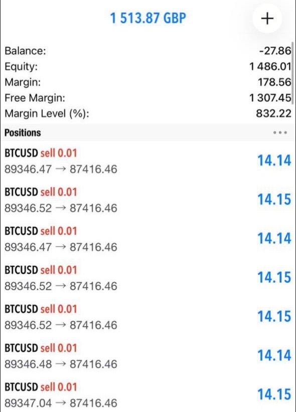 Trader profit screenshot